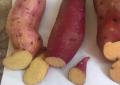 Sweet potatoes: what and how to cook from sweet potatoes