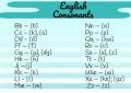 All about English transcription English consonants and their sounds