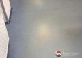 Professional cleaning and protection of hard floors