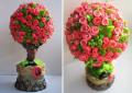 DIY 장식용 나무 : 마스터 클래스 자신의 손으로 꽃으로 나무를 만드는 법