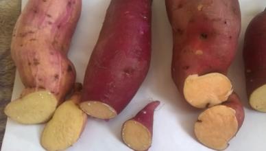 Sweet potatoes: what and how to cook from sweet potatoes