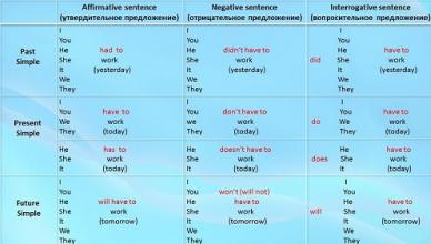 Verb to have in English with examples