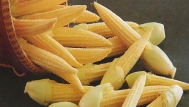 Corn for the winter without sterilization - step-by-step recipe with photo
